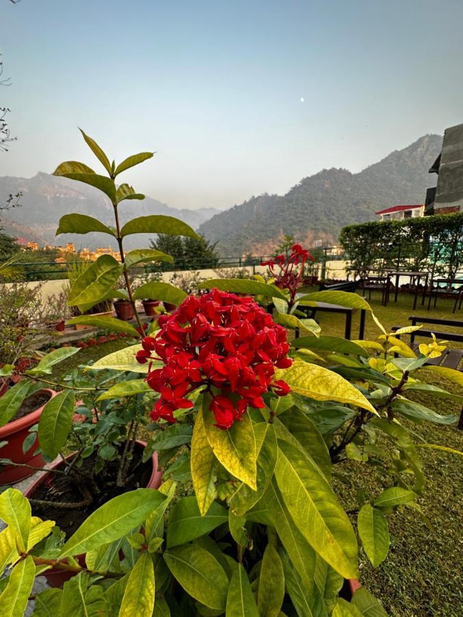 Hotel Dewa Retreat- A Himalayan Boutique Hotel Rishīkesh 外观 照片